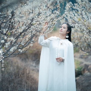 2025年度第一季（Ⅰ）—— 梦李云烟