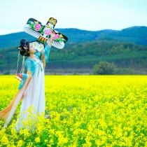 2025年度第一季（Ⅱ）—— 油菜花开