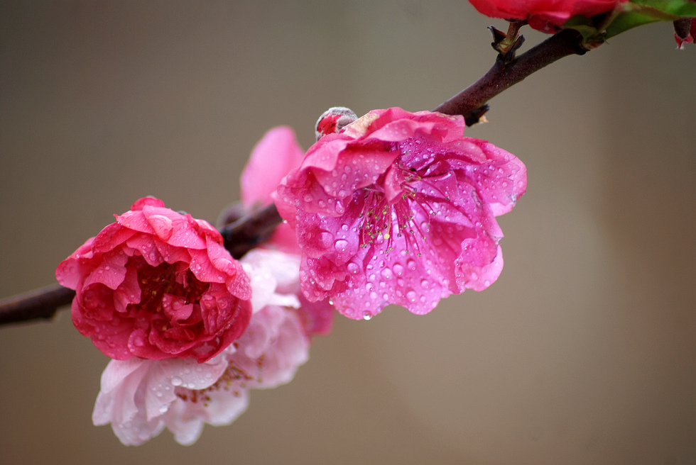 nEO_IMG_DSC_0064.jpg