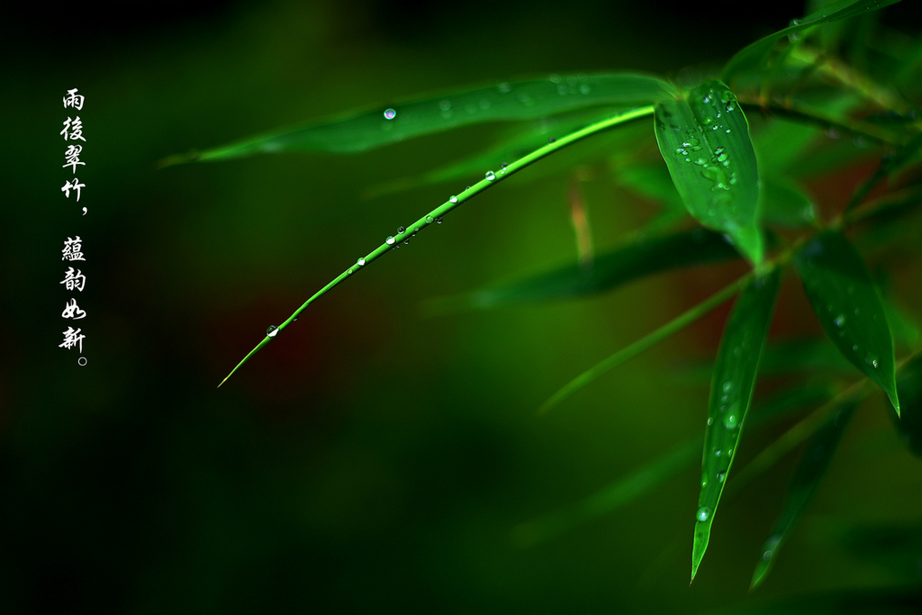 IMGP1793_副本_dh.jpg