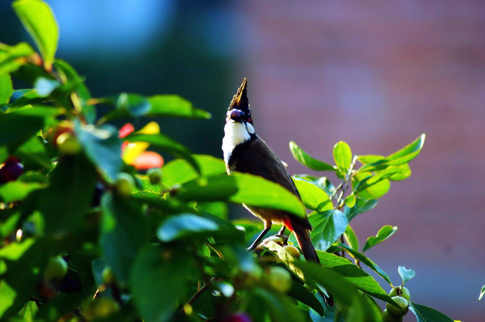 DSC03419_副本_缩小大小.jpg