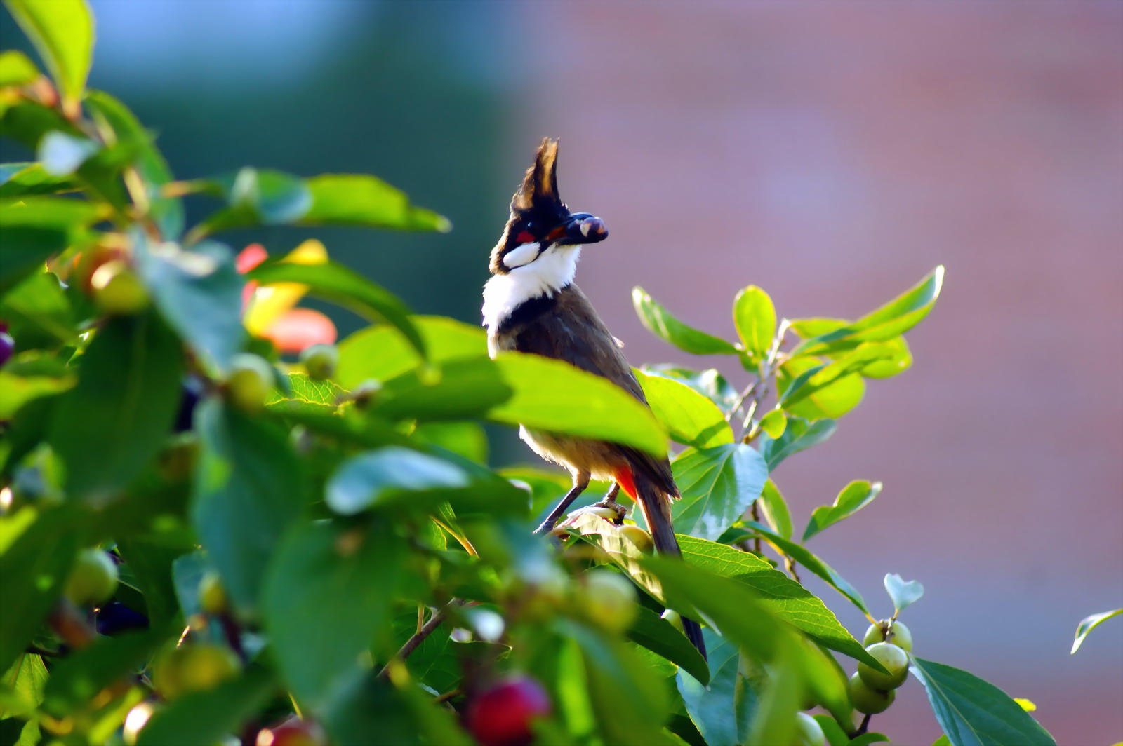 DSC03421_缩小大小.jpg