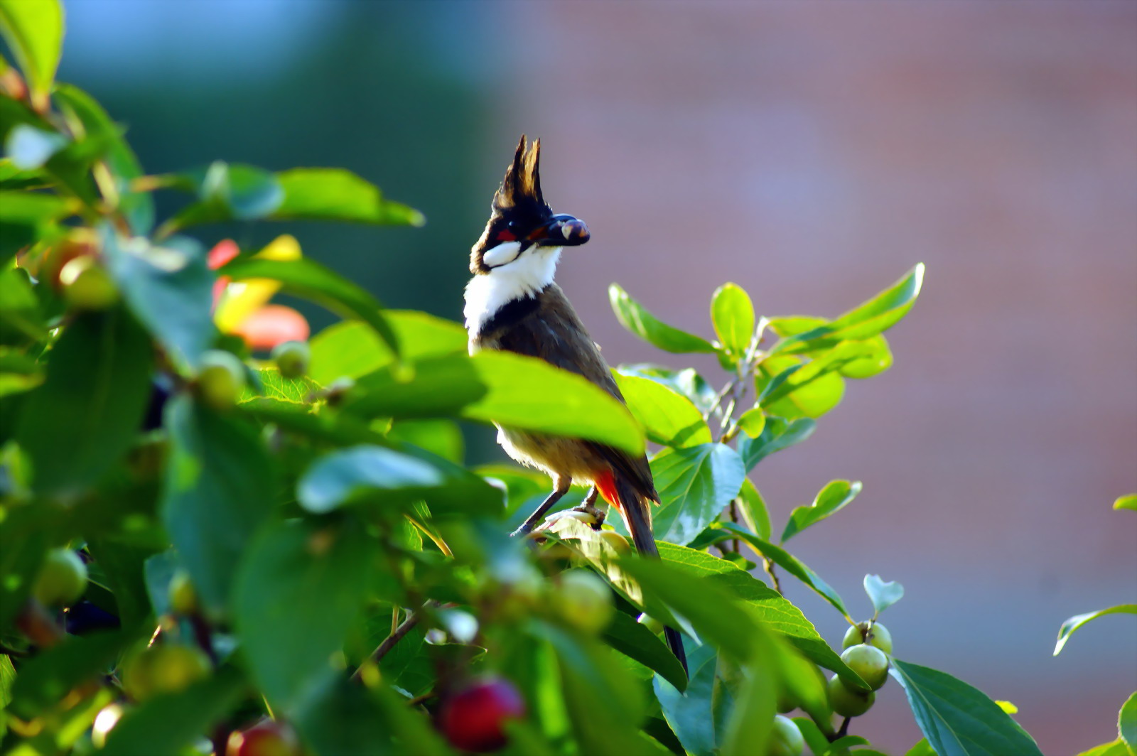 DSC03422_缩小大小.jpg