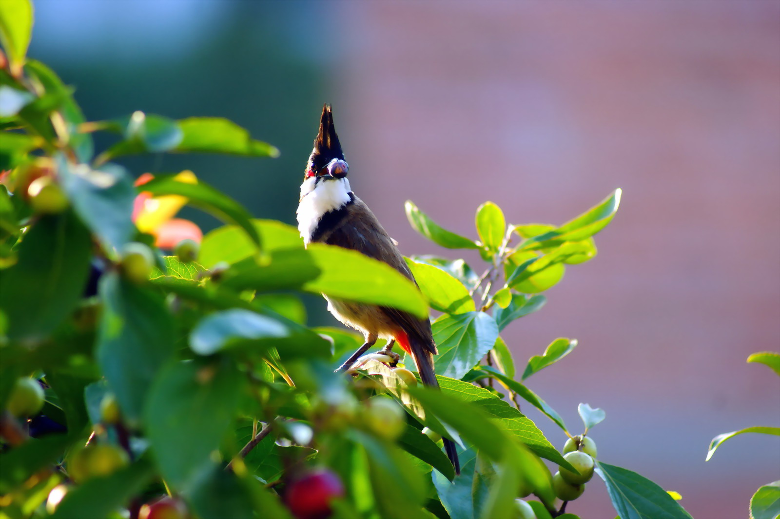 DSC03425_缩小大小.jpg