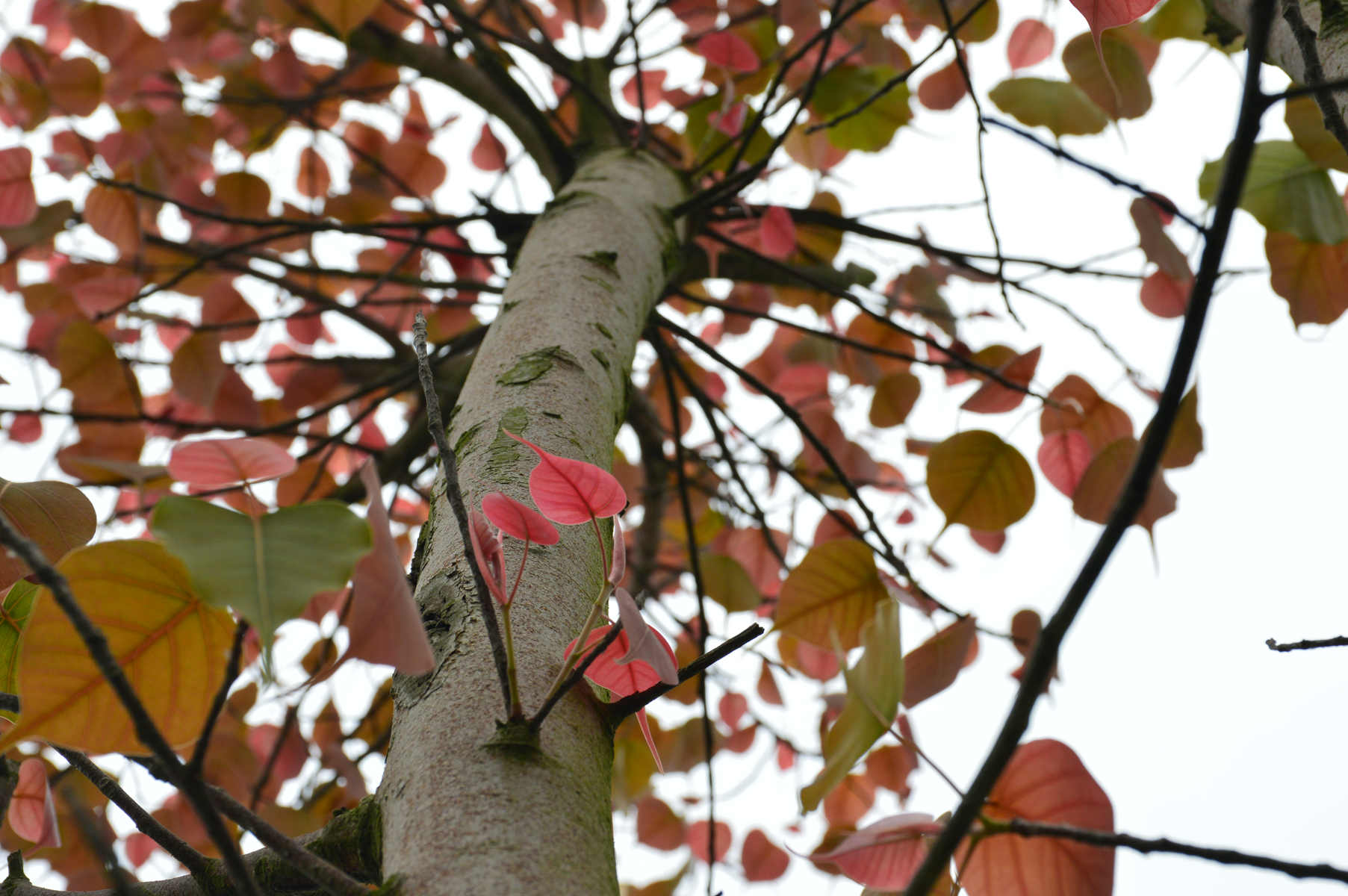 DSC_0048_副本_副本.jpg