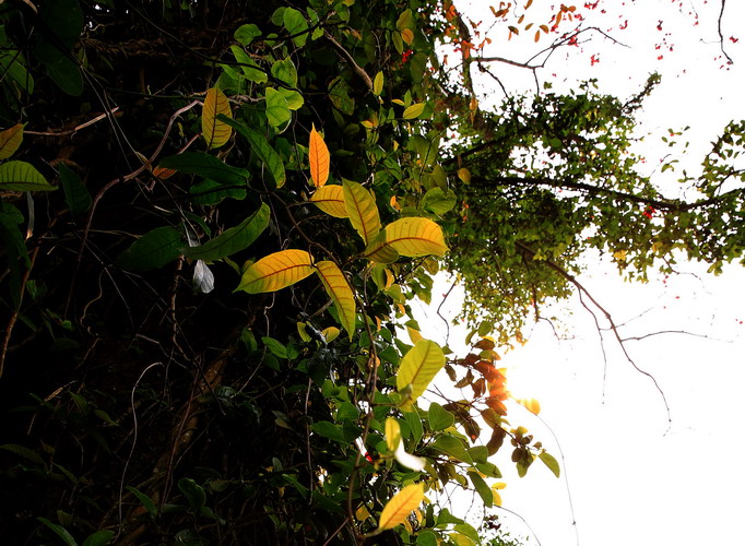 6U9A5336_缩小大小.jpg