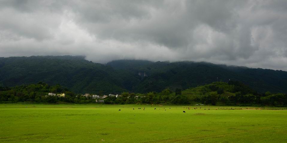 调整大小 DSC_5355.jpg