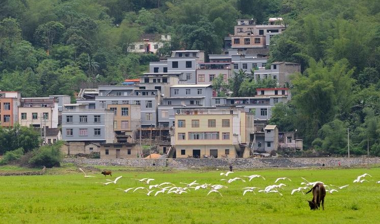 调整大小 DSC_5567.jpg