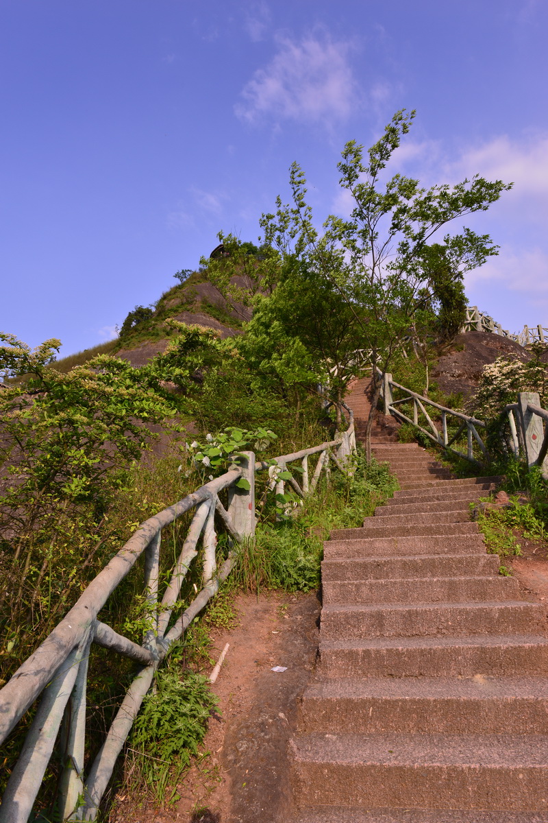 DSC_4999-2_调整大小.jpg