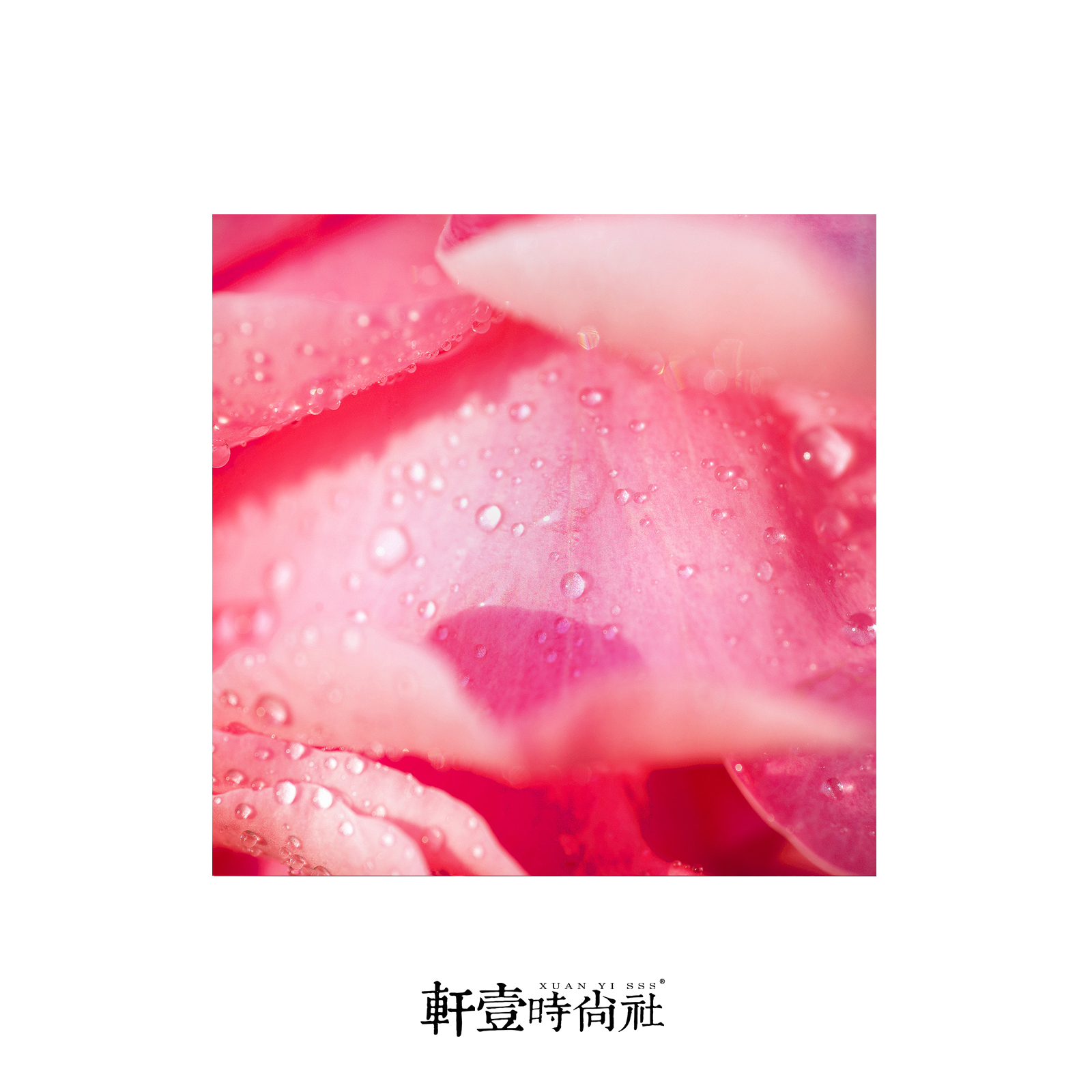 未标题-2.jpg