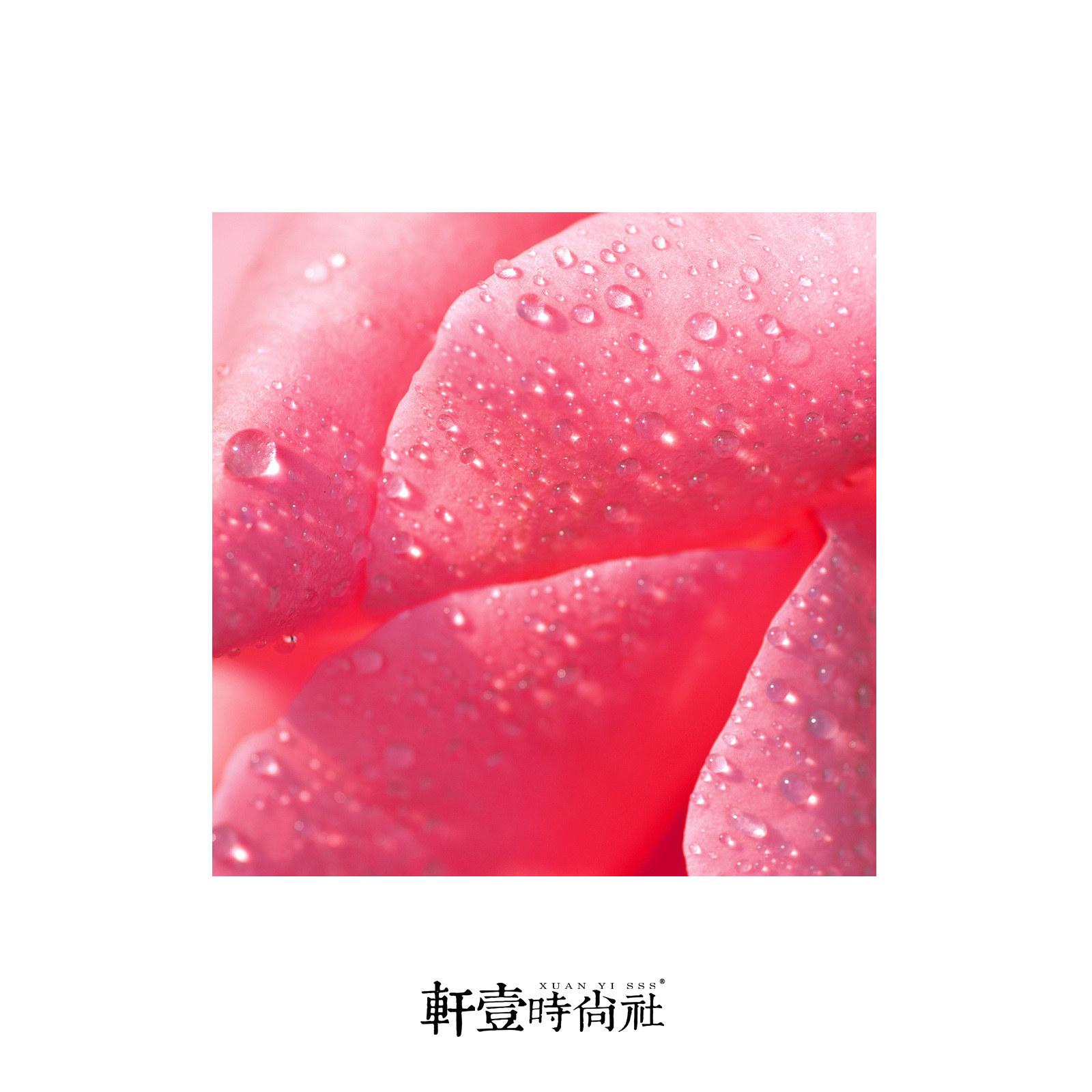未标题-3.jpg