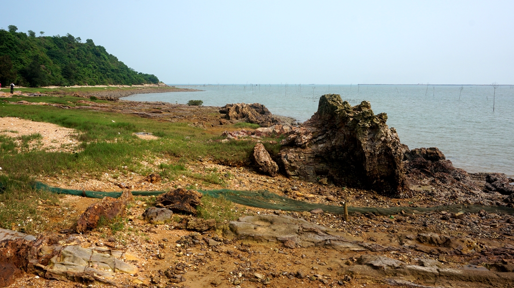 DSC07802_副本.jpg