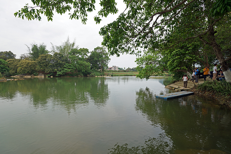 05.jpg