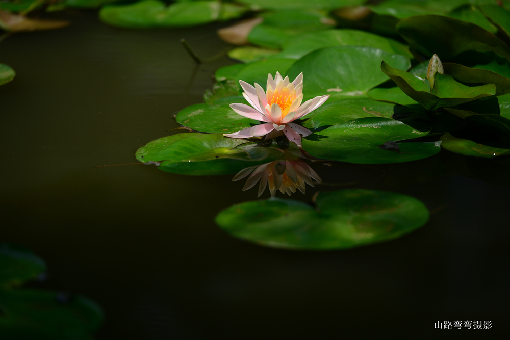 DSC_2147_副本.jpg