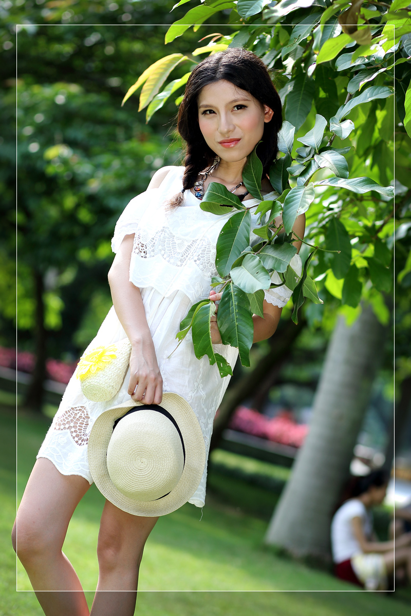 金花茶12xz.jpg