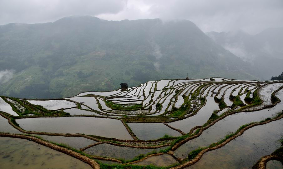 调整大小 DSC_8212.JPG