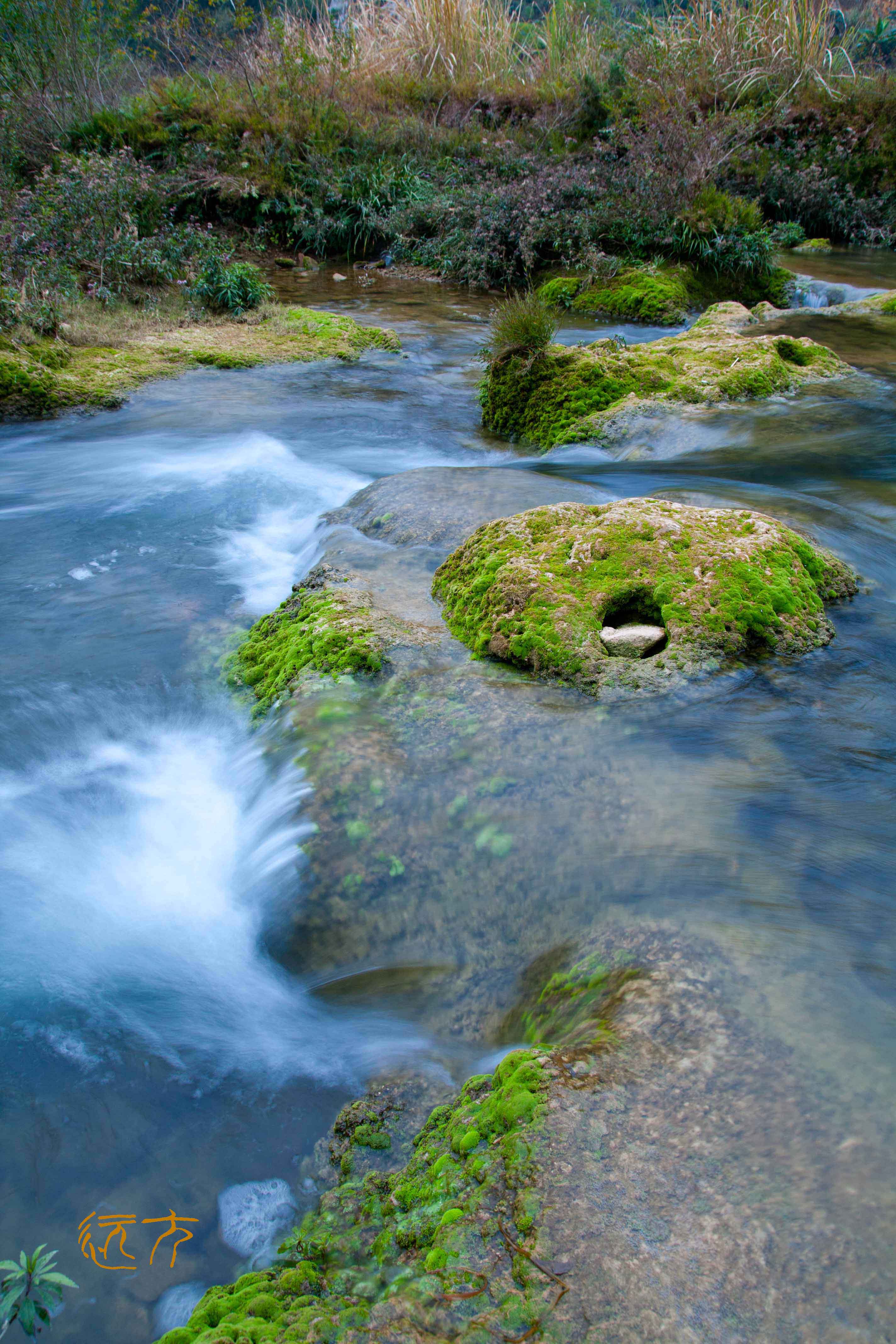 _MG_0080.jpg