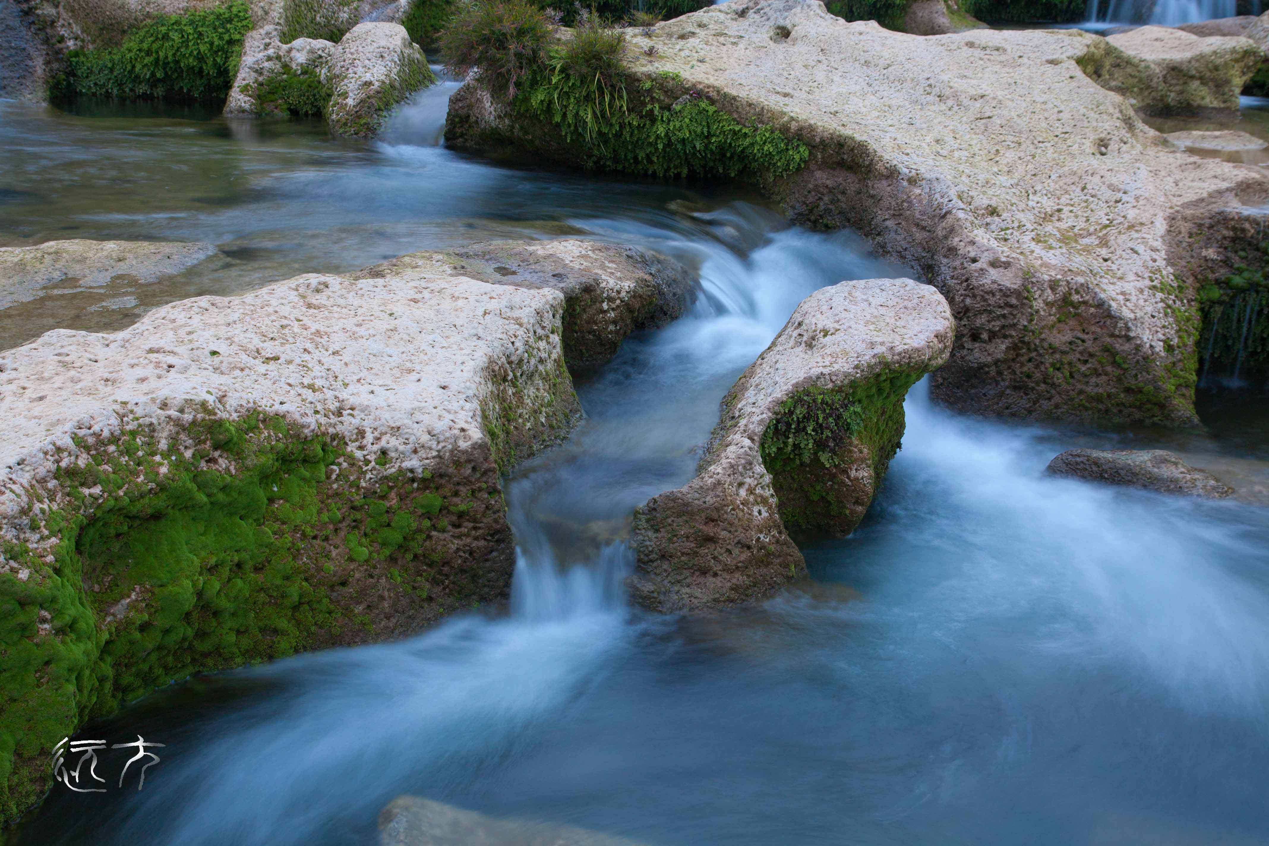 _MG_0102.jpg