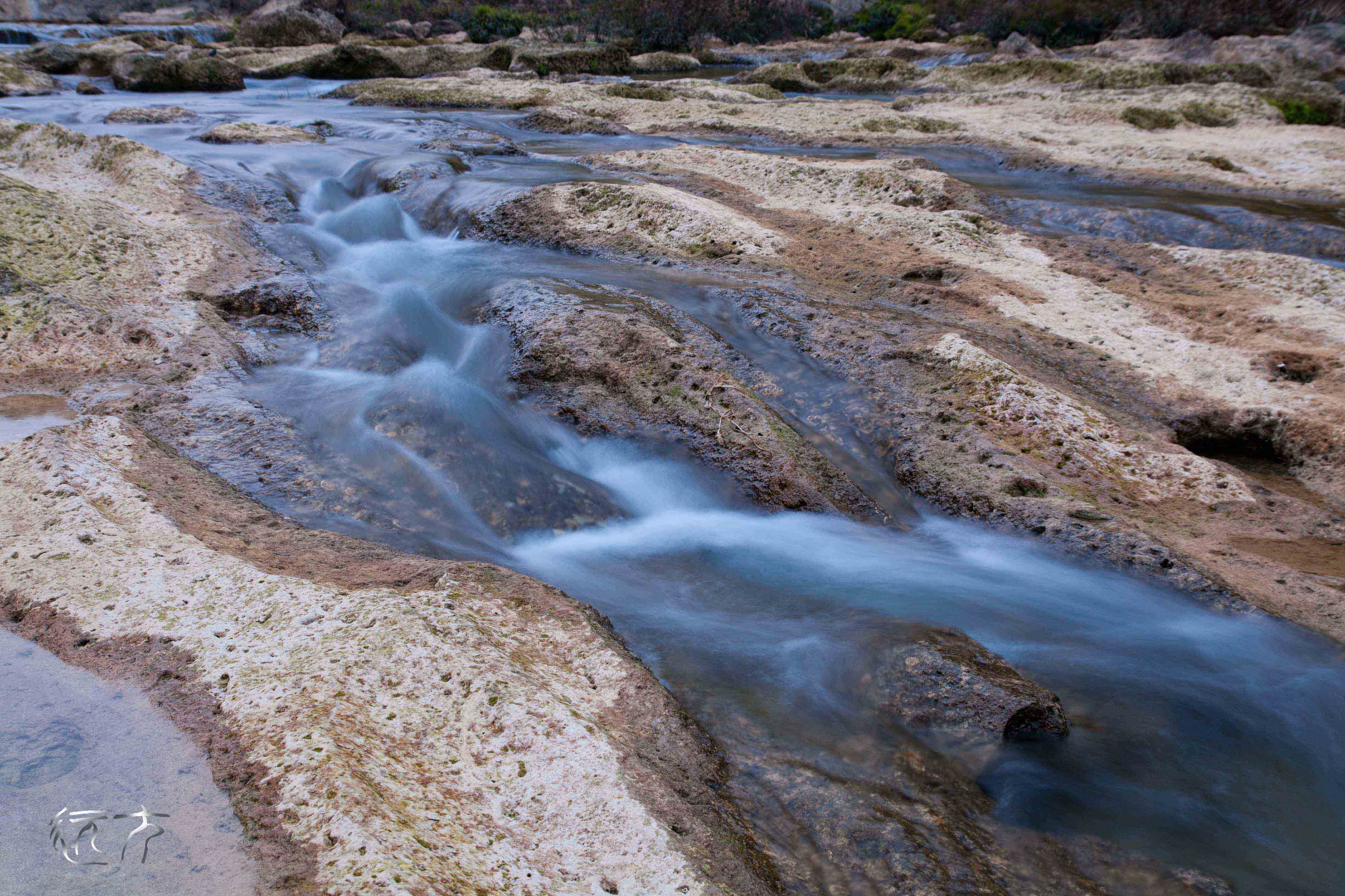 _MG_0109.jpg