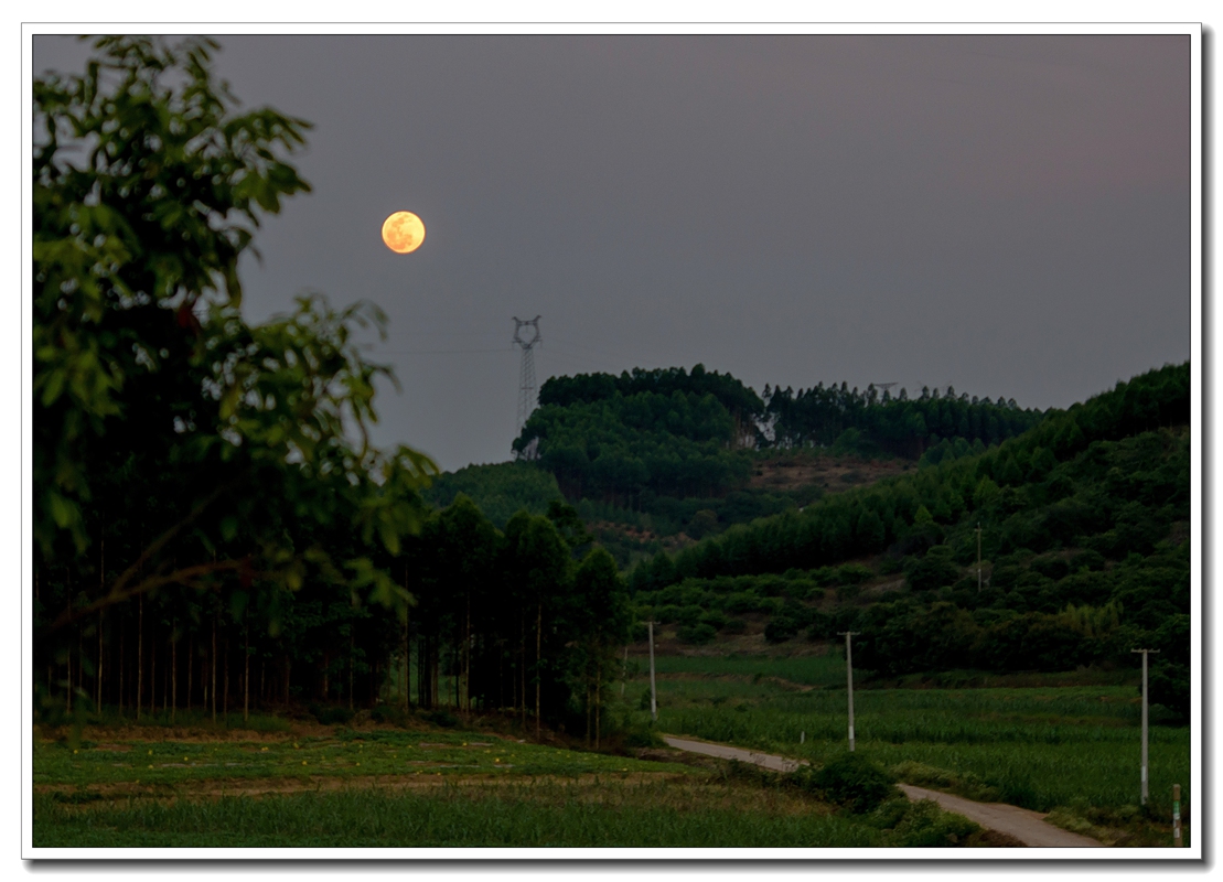 IMGP8588_dh_副本_副本.jpg