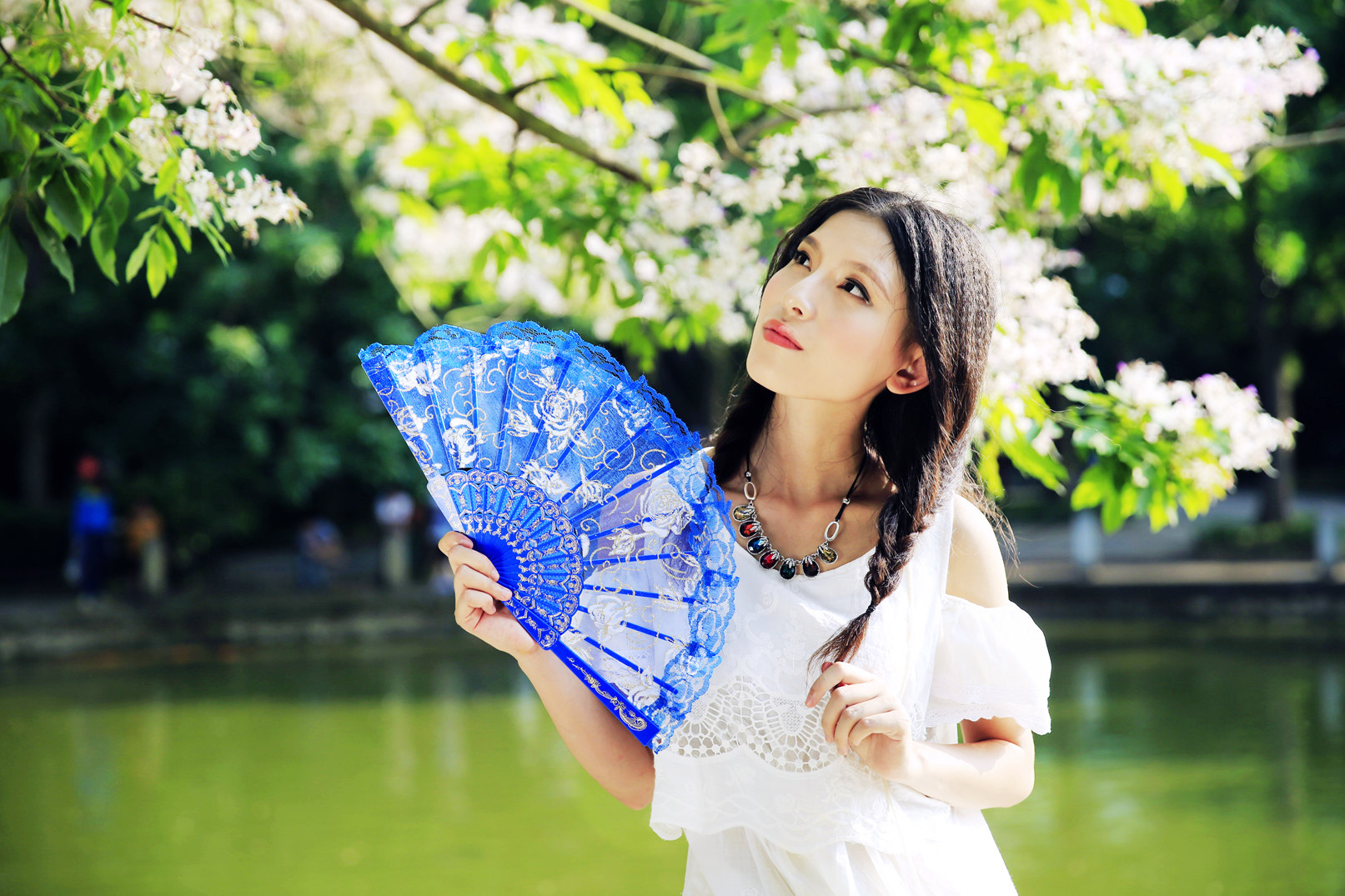 金花茶52A0022_副本.jpg