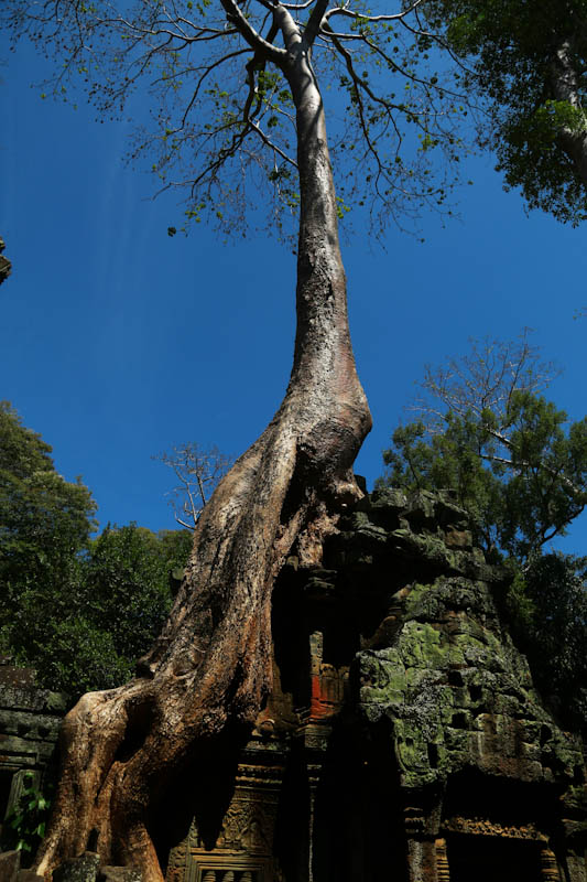 2R1A0685副本.jpg