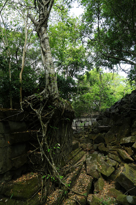 2R1A0805副本.jpg