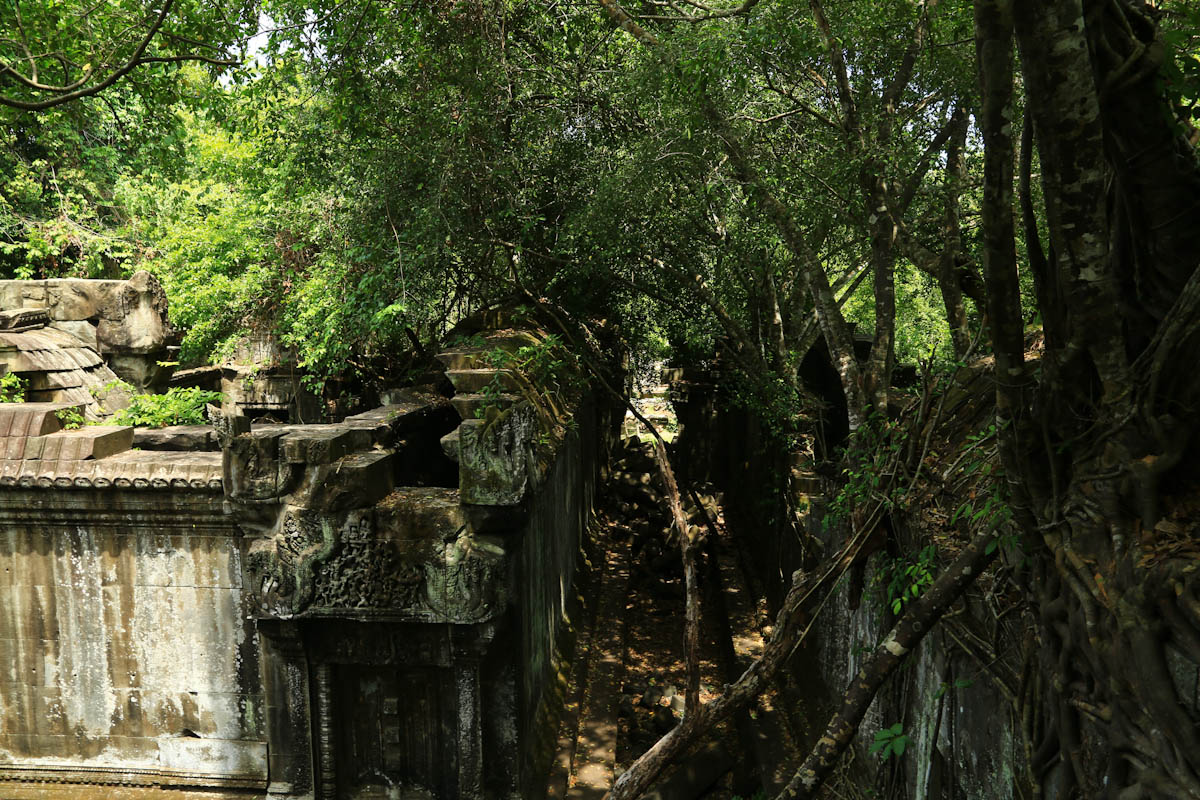 2R1A0839.jpg