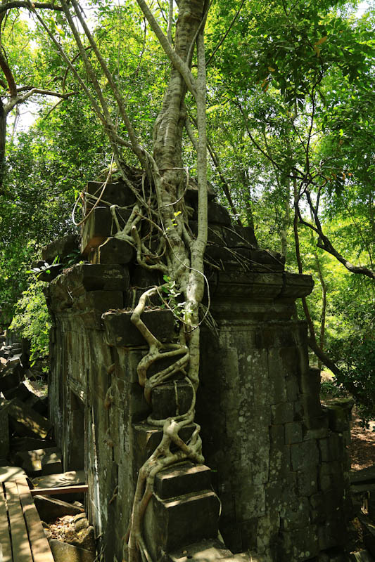 2R1A0857.jpg