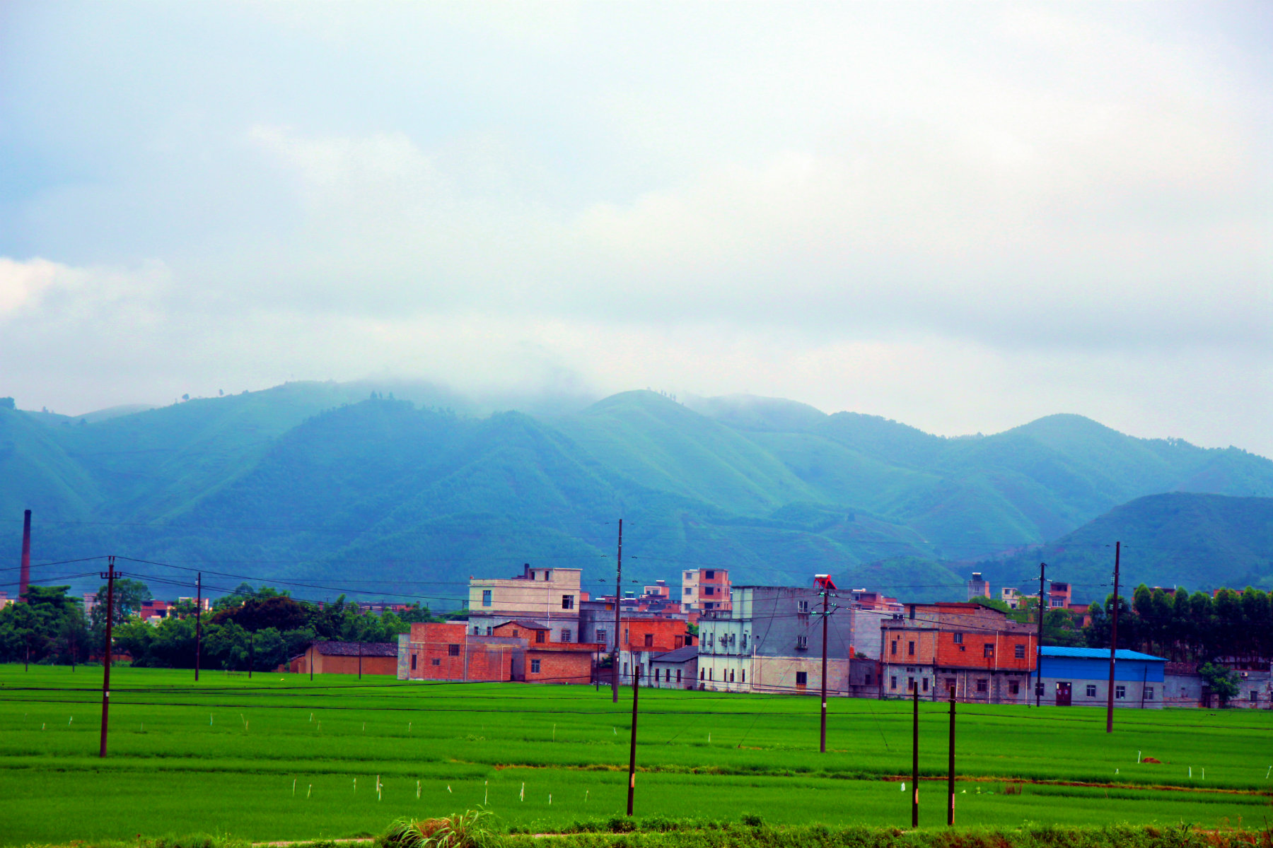 IMG_1793_鍓?湰.jpg
