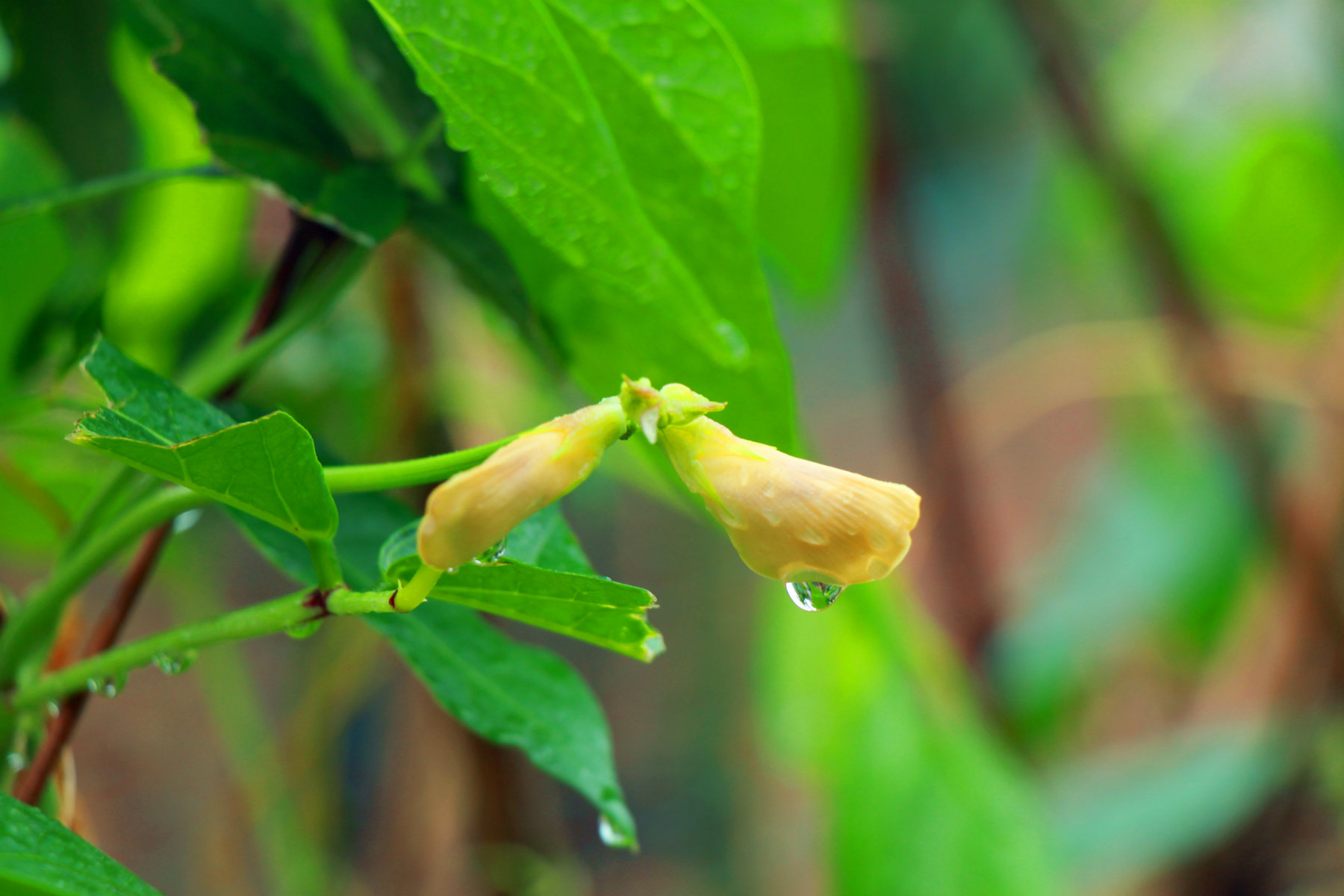 IMG_1719_鍓?湰.jpg