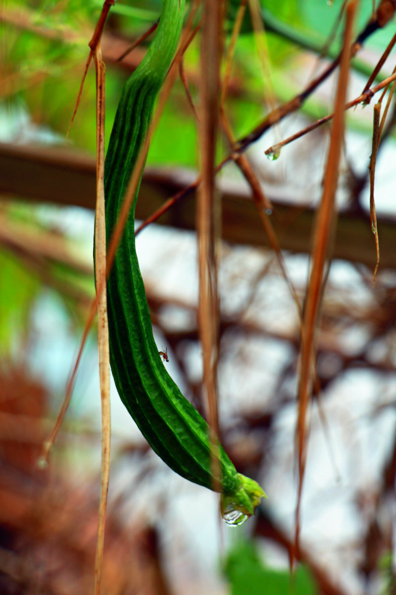IMG_1725_鍓?湰.jpg