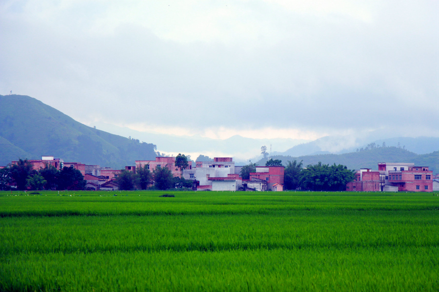 IMG_1759_鍓?湰.jpg