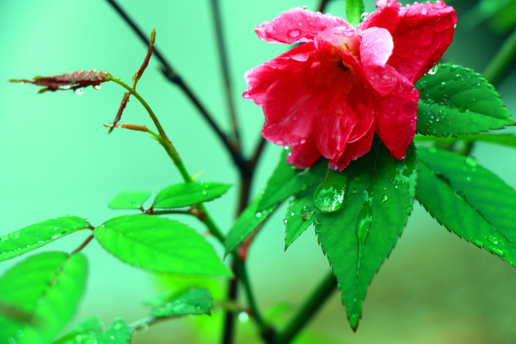 IMG_1771_鍓?湰.jpg