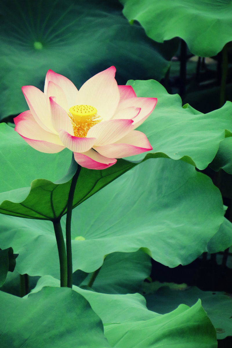 IMG_0075_鍓?湰.jpg