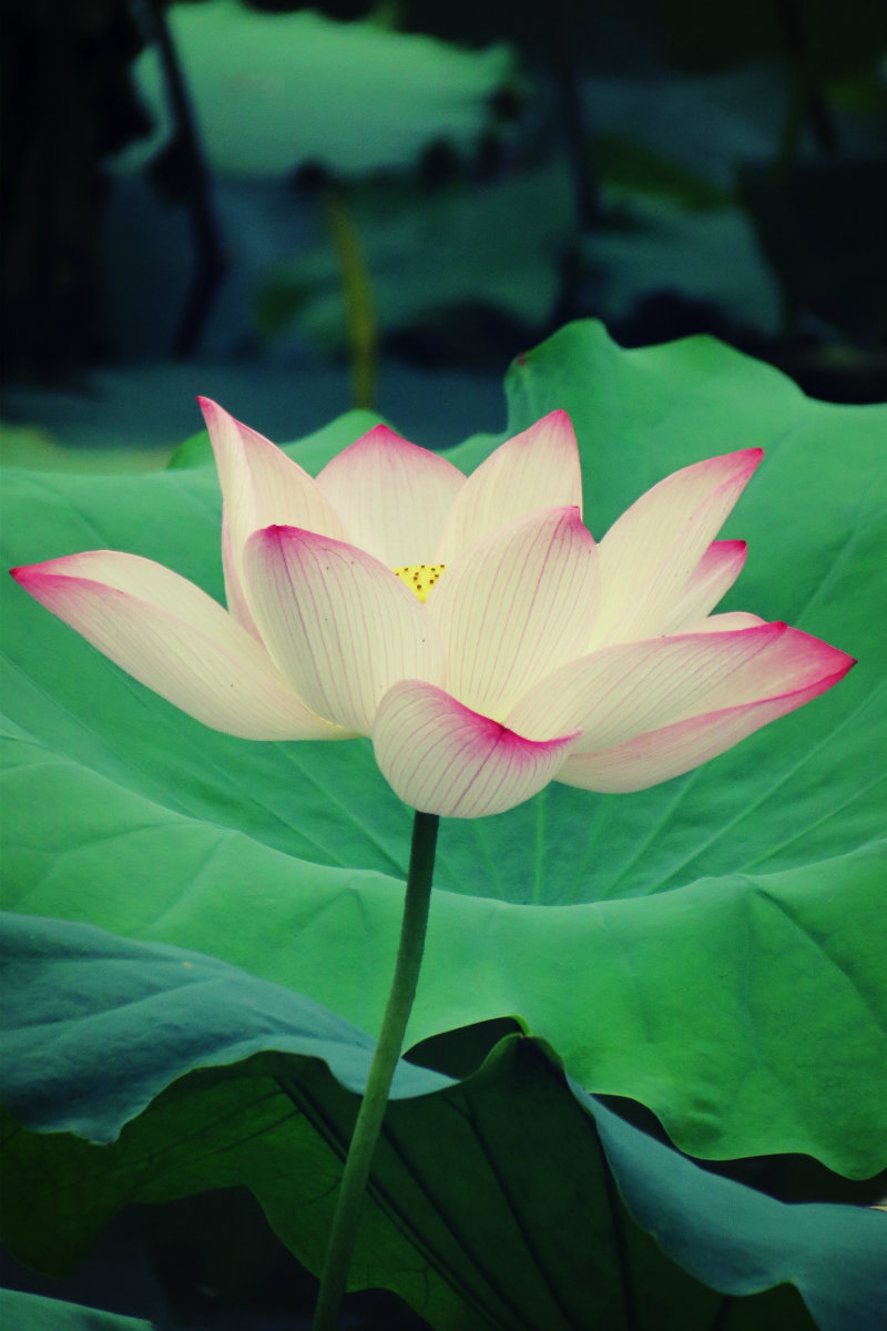 IMG_0104_鍓?湰.jpg