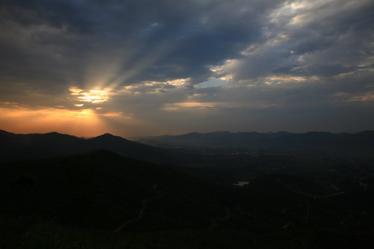 6U9A7224_缩小大小.JPG
