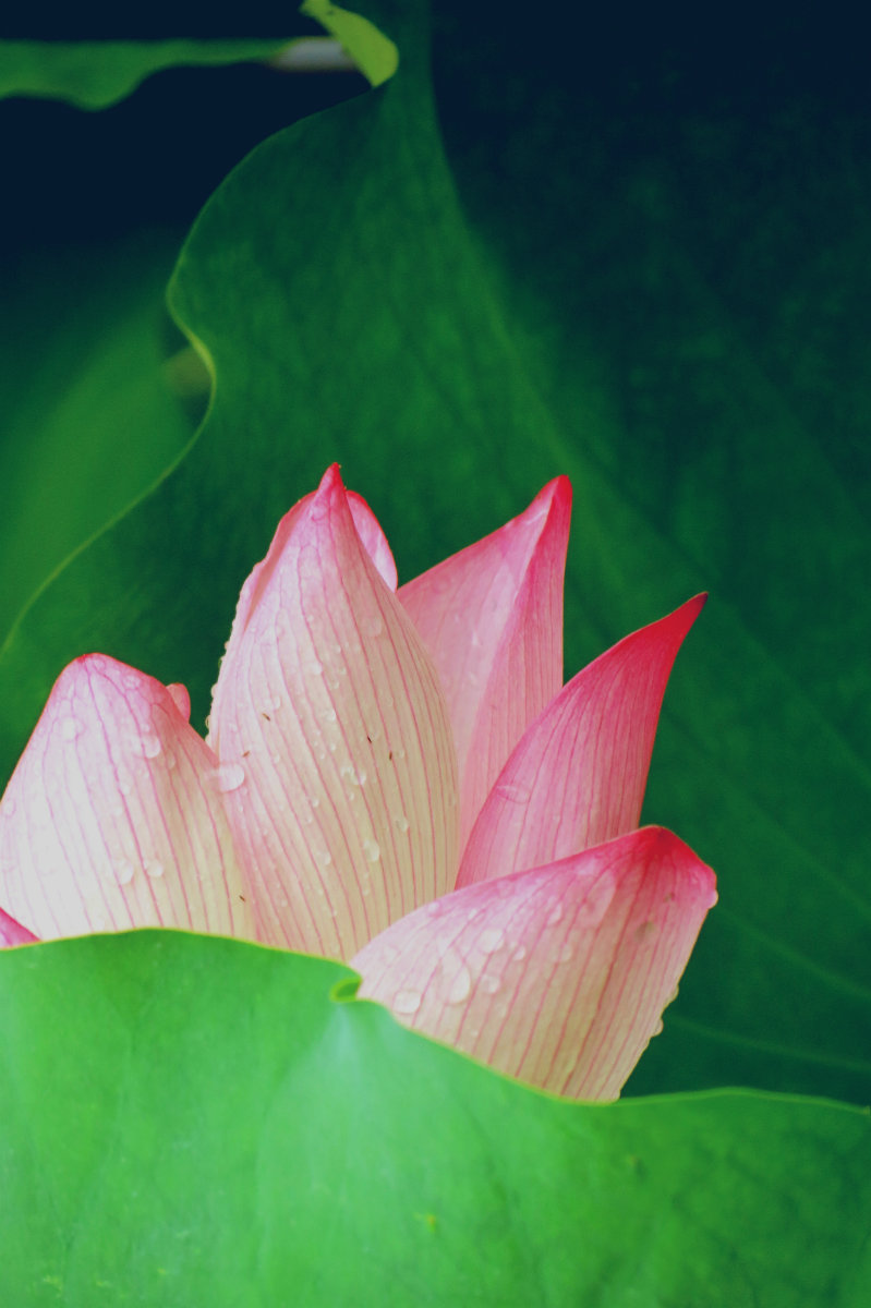 IMG_0060_鍓?湰.jpg