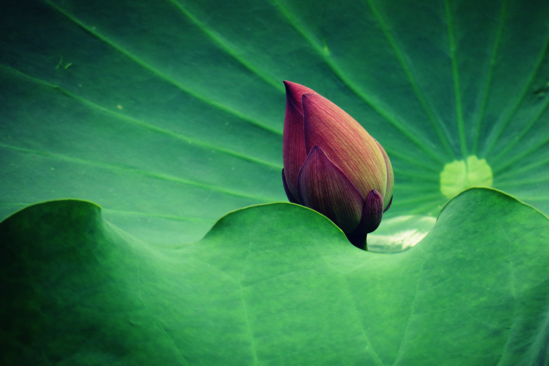 IMG_0068_鍓?湰.jpg