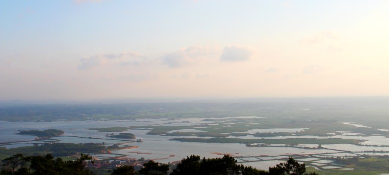 IMG_9370_conew1.JPG