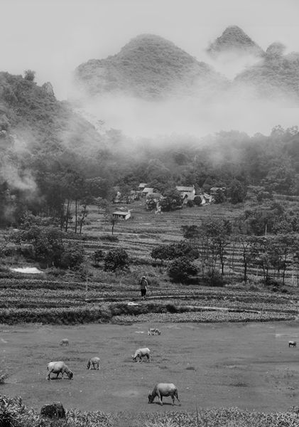 _IGP00622_副本.jpg