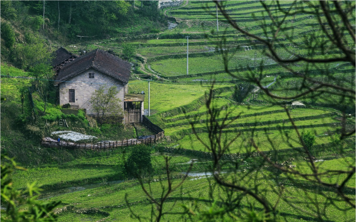 QQ图片20140526223701.jpg