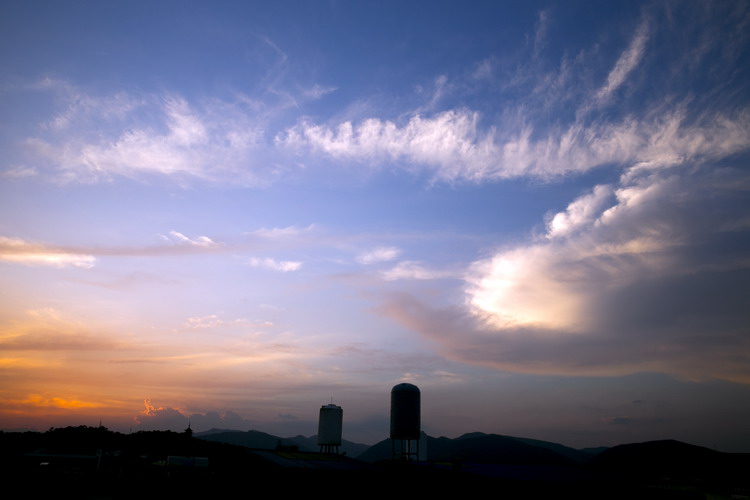 6U9A8546_缩小大小.JPG