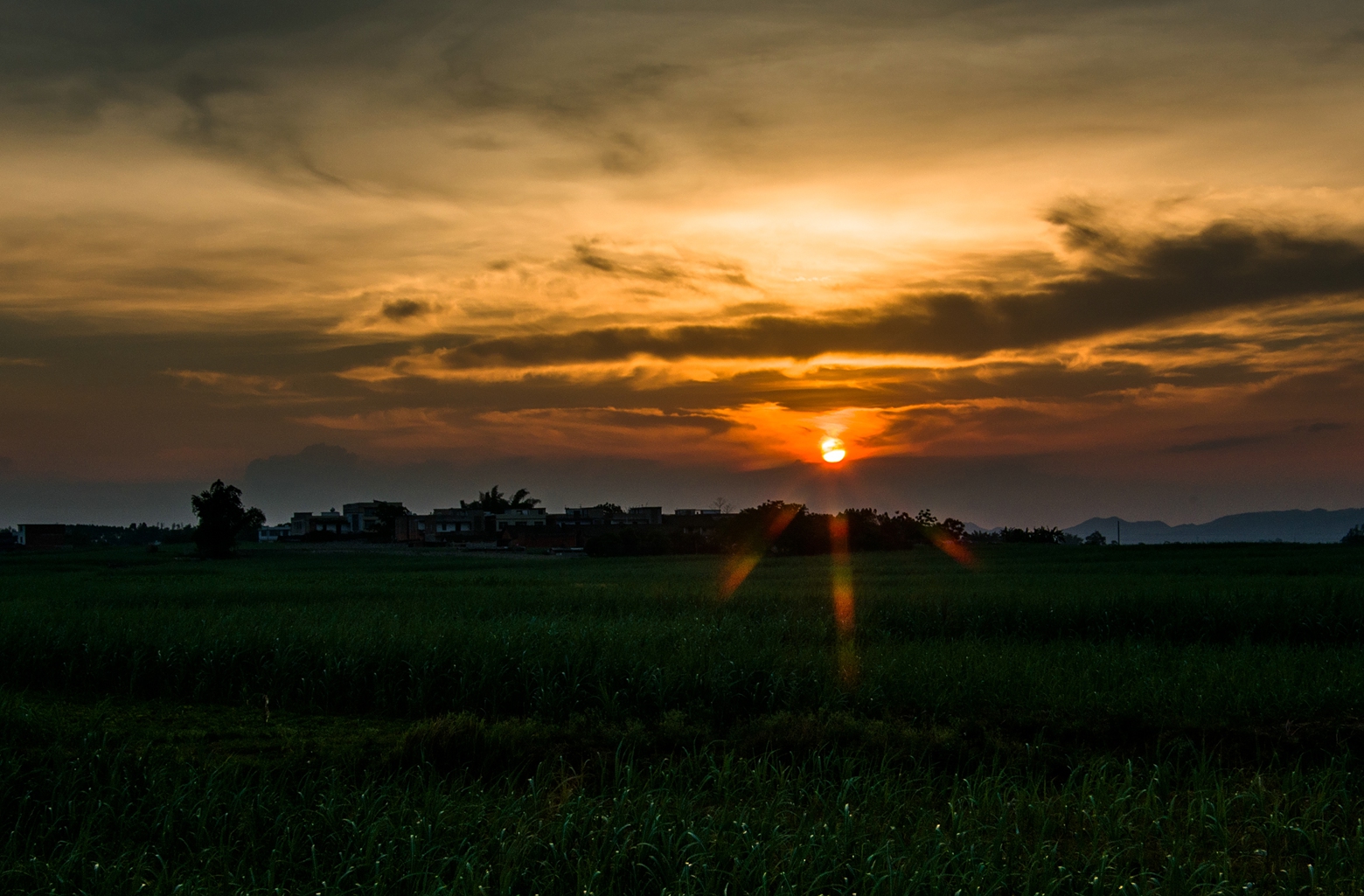 IMGP9724_dh_副本.jpg