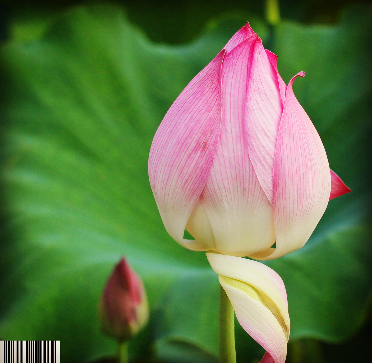 IMG_6896_副本_副本.jpg