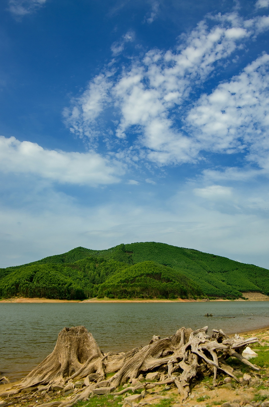 IMGP9938_dh_副本_副本.jpg