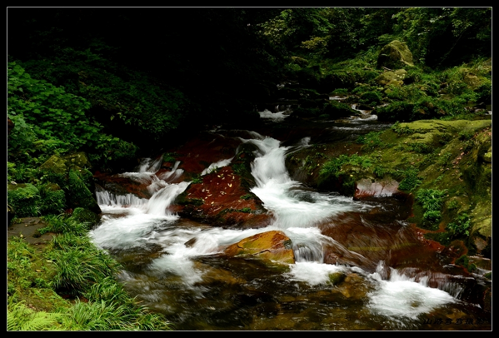 DSC_3668_副本.jpg