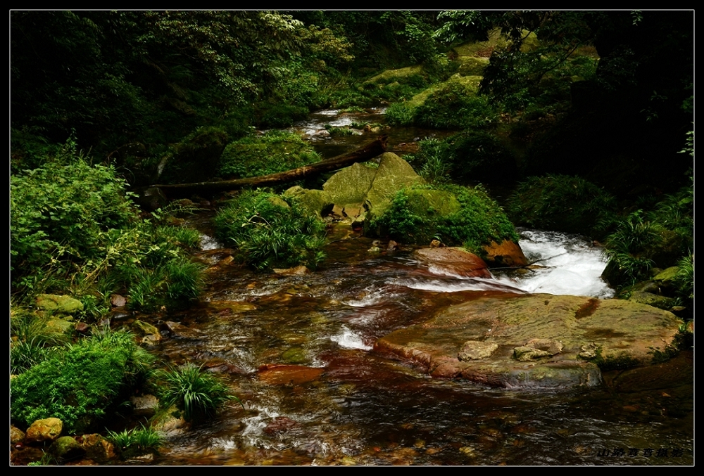 DSC_3670_副本.jpg