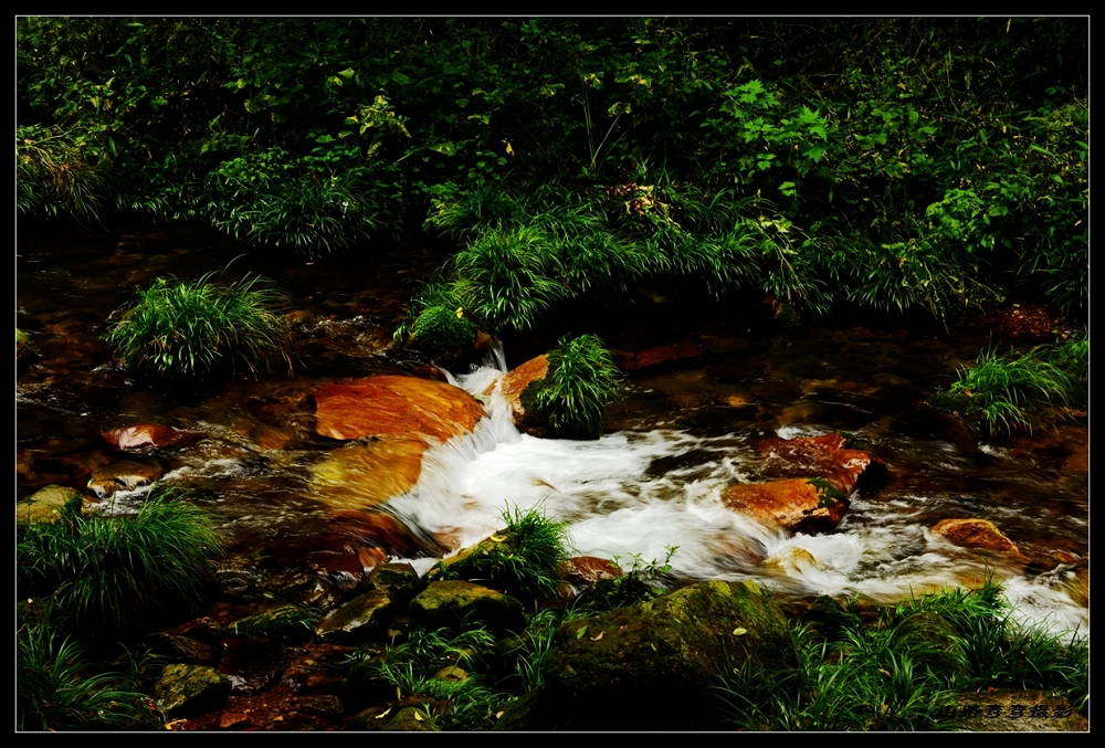 DSC_3701_副本.jpg