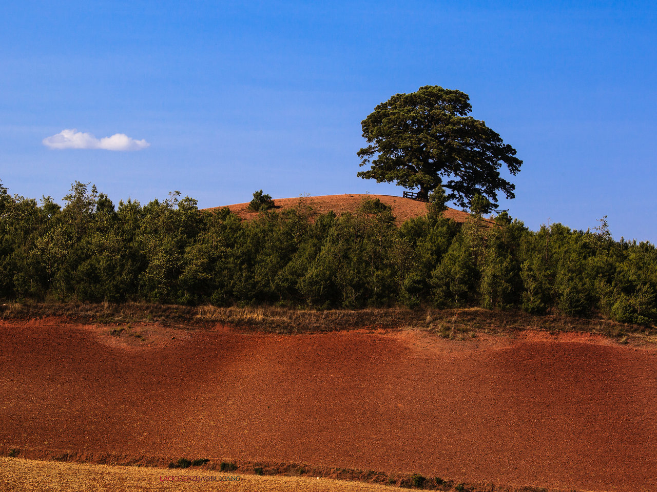 东川红土地-37.jpg